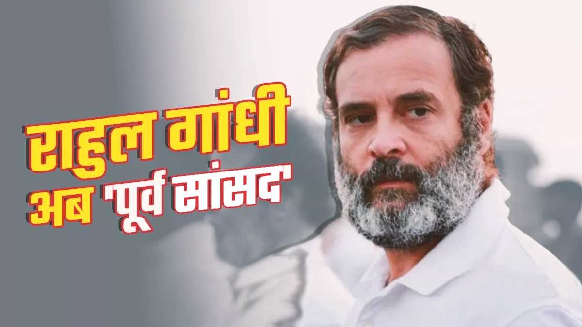 मैं भारत की आवाज़ के लिए लड़ रहा हूं, मैं हर कीमत चुकाने को तैयार हूं : राहुल गांधी